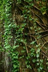 IMG_2186-18