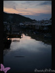IMG_4130a