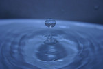 IMG_6457001