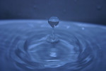 IMG_6464001