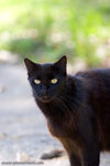 _MG_2595-2