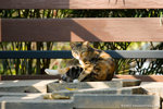 _MG_5167-2