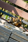 _MG_5173-2