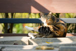 _MG_5195-2