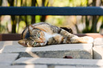 _MG_5214-2
