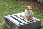 _MG_6456-2