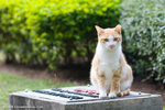 _MG_6457-2