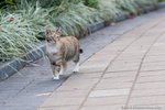 _MG_6496-2