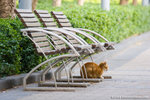 _MG_6526-2