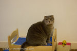 _MG_5888-2
