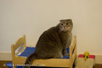 _MG_5890-2