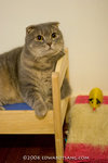 _MG_5896-2