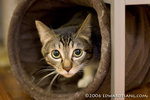 _MG_5902-2