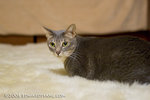 _MG_5906-2