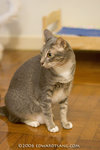 _MG_5921-2