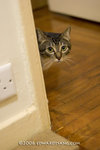 _MG_5924-2