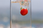 _MG_4559-2