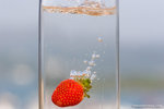 _MG_4577-2