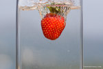 _MG_4586-2