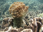 PICT0008