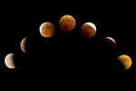 

Lunar Eclipse 3
Taken by Eddy Lau
Canon 1D Mark II