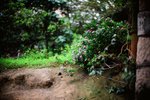 2528_Leica MP_Noctilux_RVP 100