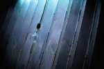 2530_Leica MP_Noctilux_RVP 100