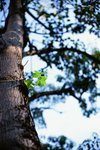 3018_Leica MP Hammertone_Noctilux_RVP 100