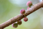 060311_26s