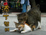 �K�B�o�]
