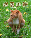 �e�ª�s