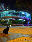 031110_3130_�¡C�]