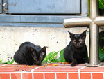 �«}�}o�JBB_031027_0839