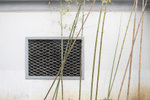 20080530-IMG_4066