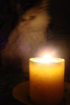 DSC02084