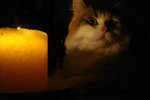 DSC02095