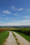 D22_6865a