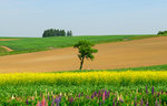 D22_4002a