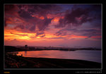 D22_2142a