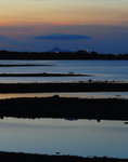 D22_5021a