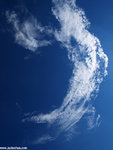 00P8170756