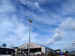 00P8310951