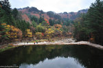 00DSC_3635