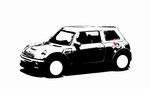 mini11