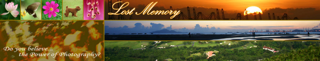 Welcome to Lost Memory