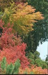 2002-Kyoto-205