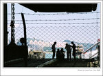 f80-dev-200806-02c