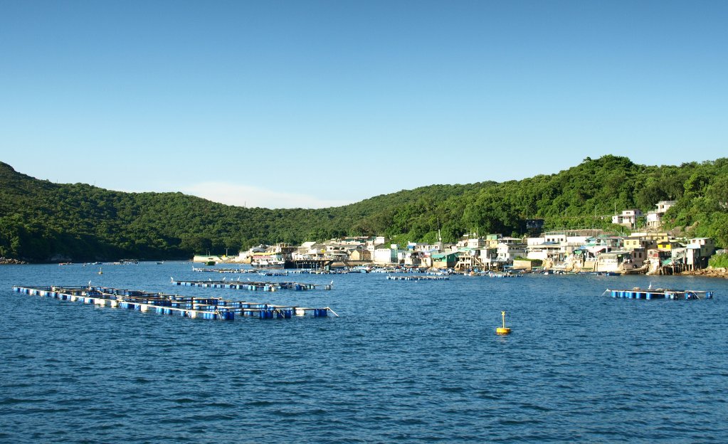塔門=日出 高山 大海 青草地