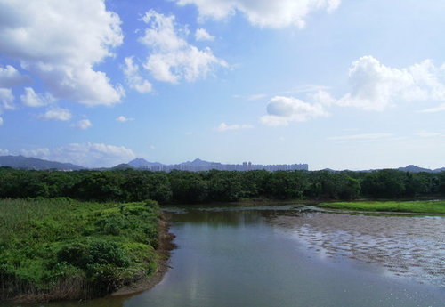 香港米埔沼澤及內后海灣拉姆薩爾國際重要濕地圖片15