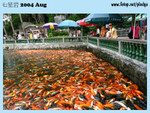 20040821-0081-300D copy